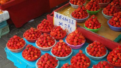 中国草莓致癌风波央视与人民日报插架