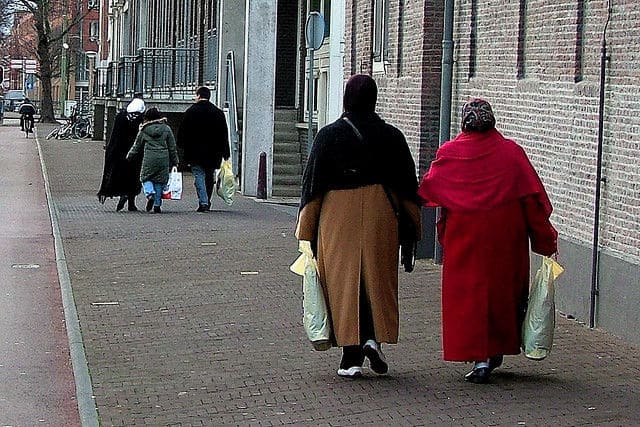 荷兰社会融入报告：外裔表现仍然较差