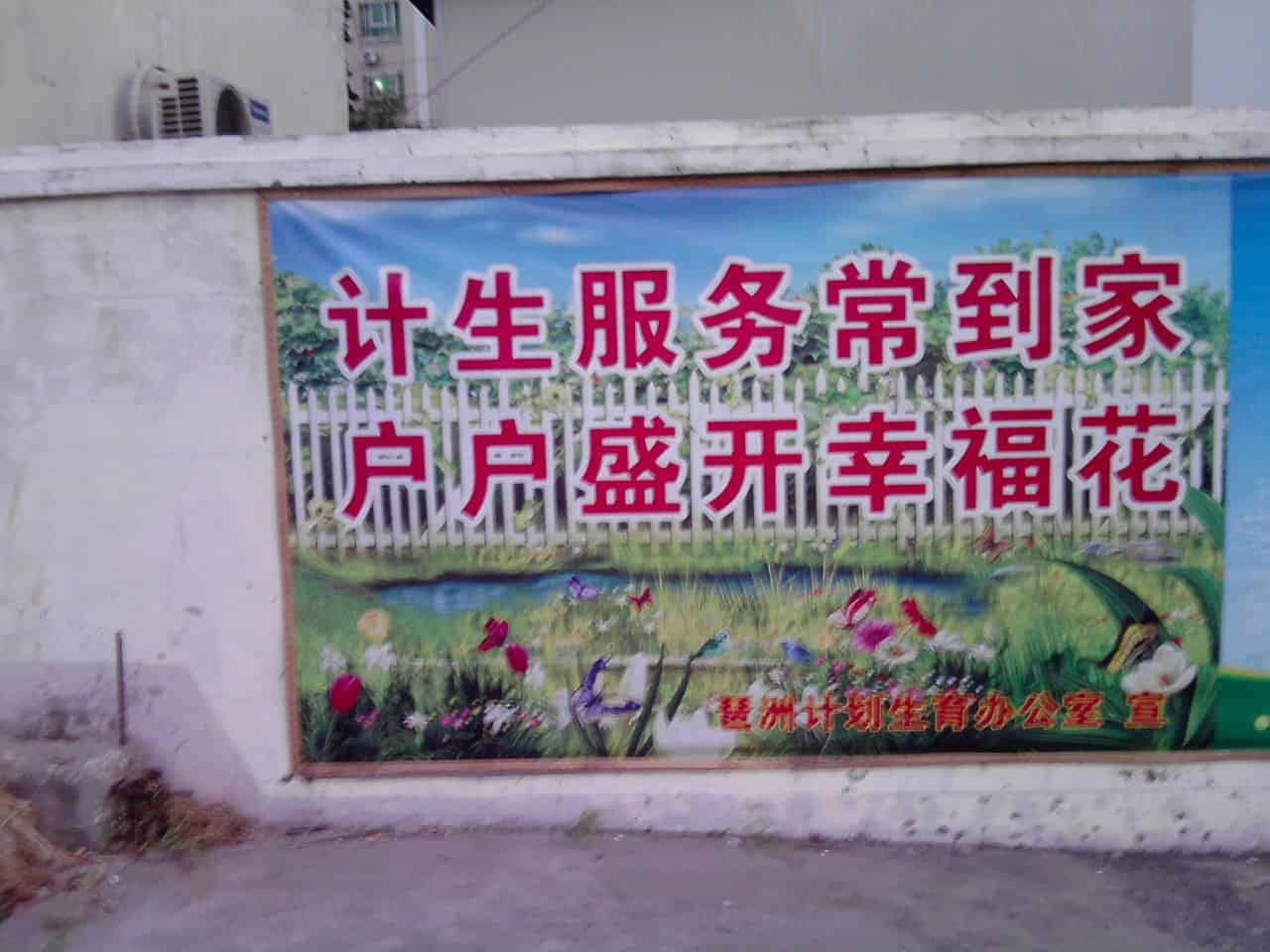 荷兰养父谈中国领养