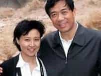 中共决定对薄熙来立案调查，薄妻涉嫌谋杀英国商人