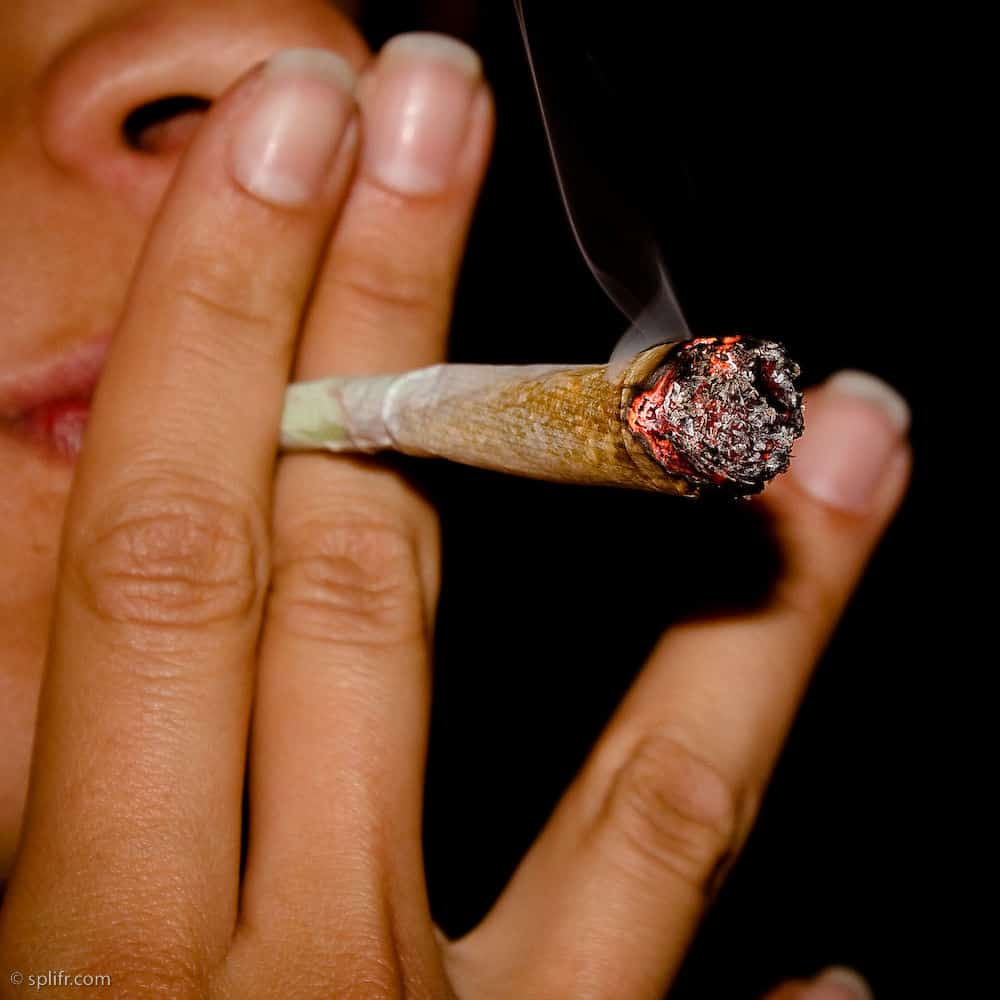 体验荷兰大麻