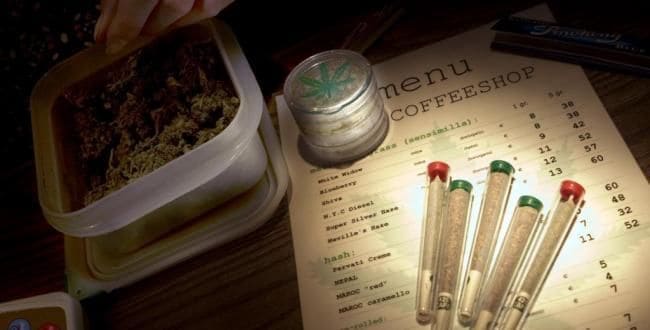 荷兰地方政府给父母发放免费药检工具用于检测子女是否吸毒