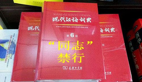 《现汉》中无“同志”，江蓝生解释“雷人”