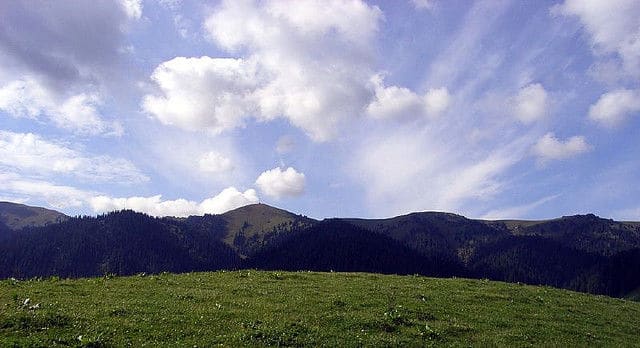 荷难民营维汉室友冲突“绝非民族问题”