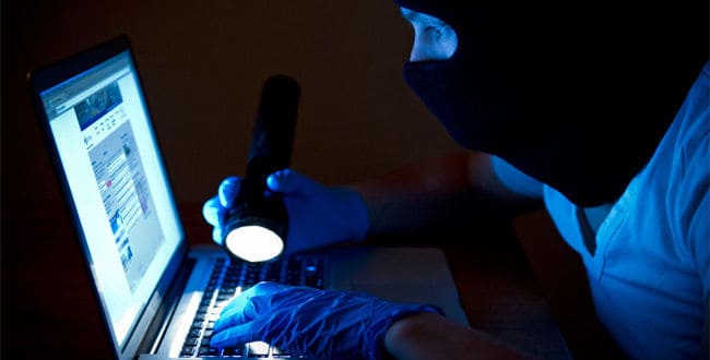 “荷兰对网络犯罪关注过少”