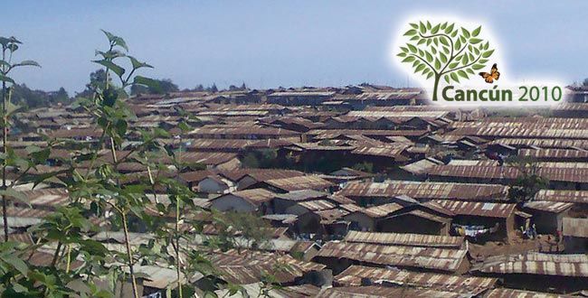 超大型都市环保系列：谁来管内罗毕的污染？