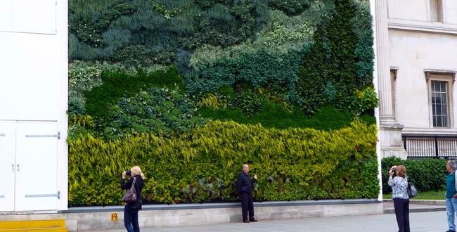 活体植物再现梵高名作