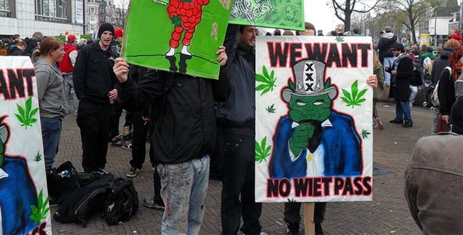 研究显示：荷兰“大麻证”适得其反