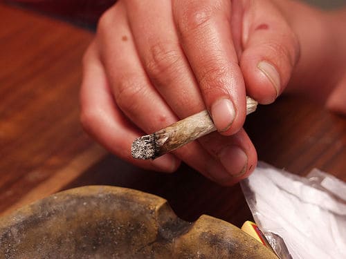 马斯特里赫特市大麻咖啡馆拒绝外国游客入内