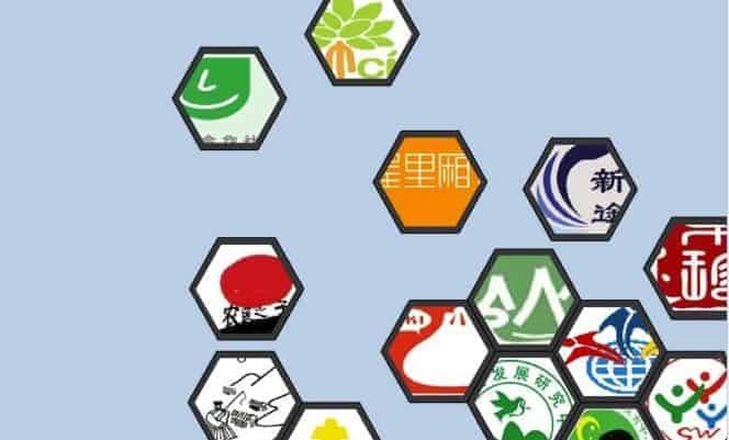 中国社会组织的两面性