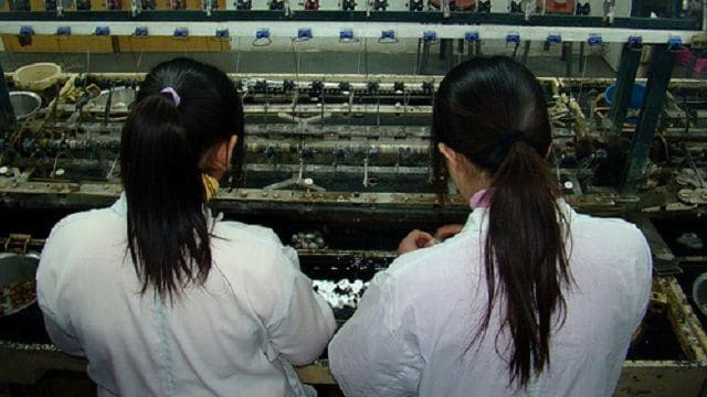 专访张彤禾：用打工女孩视角展现当代中国