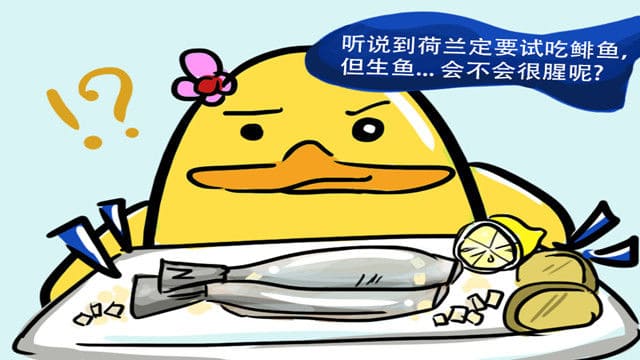 香港女生初试荷兰