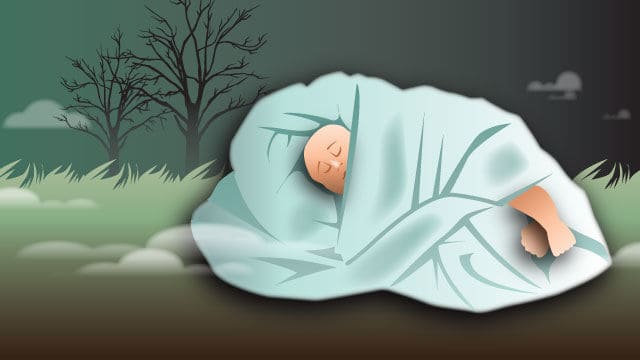 图解荷兰如何处理弃婴事件