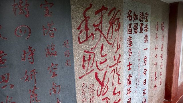 知识分子还能治疗社会吗？