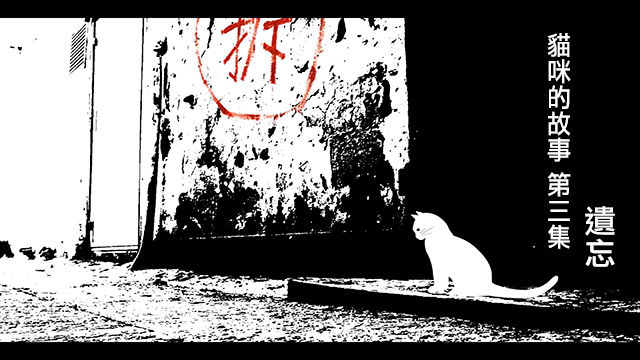 《猫咪的故事》之三：遗忘