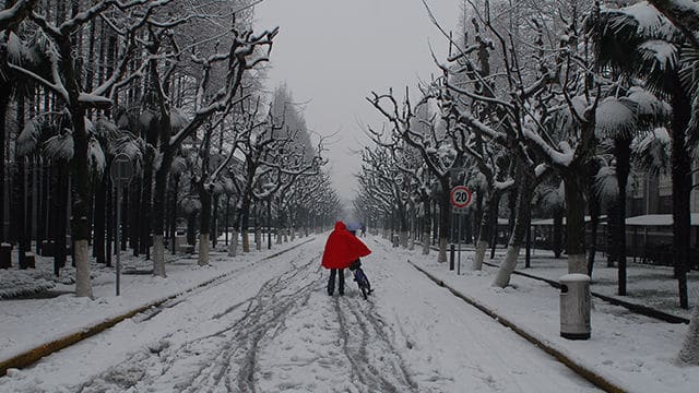 毕业季：我们不同路