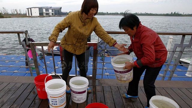 从靖江停水说起：闻得到和闻不到的故乡水污染