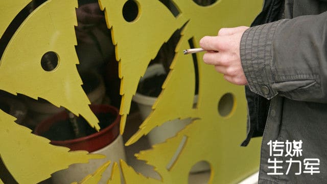 【传媒生力军】荷兰的年轻“草”民