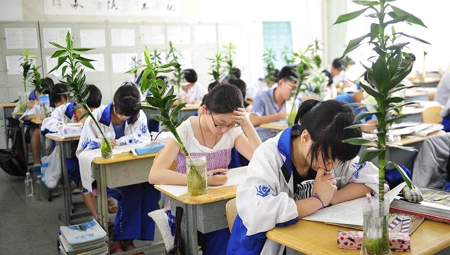 从“夺刀少年”事件看道德资本的运作逻辑