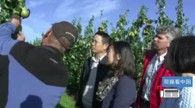 荷媒看中国： 害怕中国人没必要