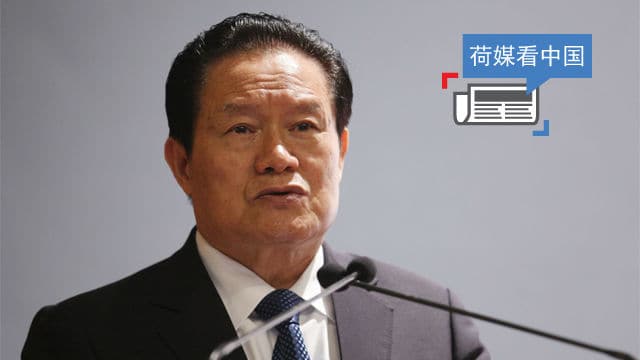 荷媒看中国：拍了苍蝇打老虎