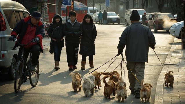 中国离中产社会还有很远
