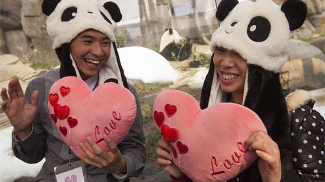 极品“凤凰男”征婚，和泼粪大妈绝配？