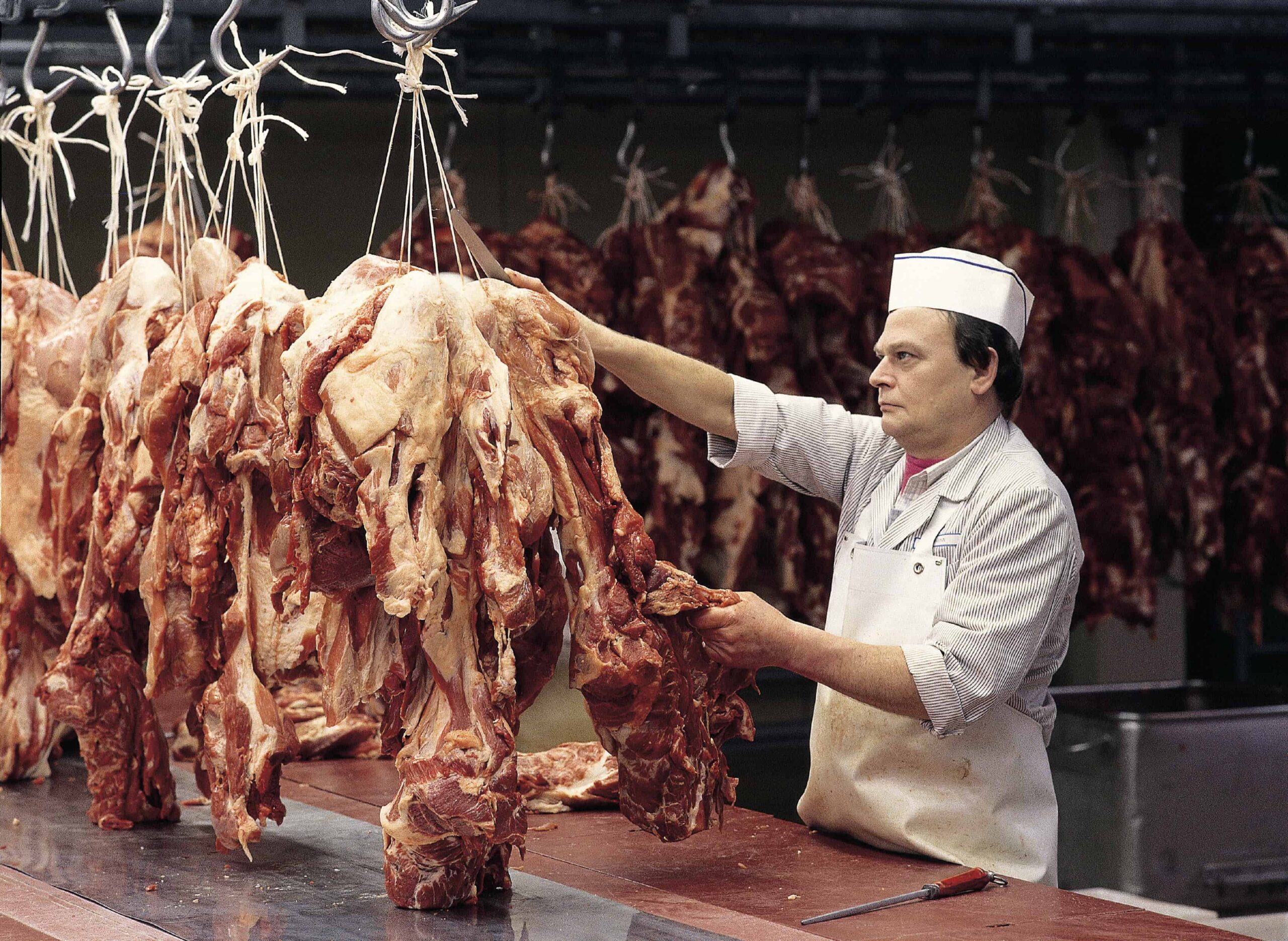 吴默生：“僵尸肉”为何能大量涌入中国？