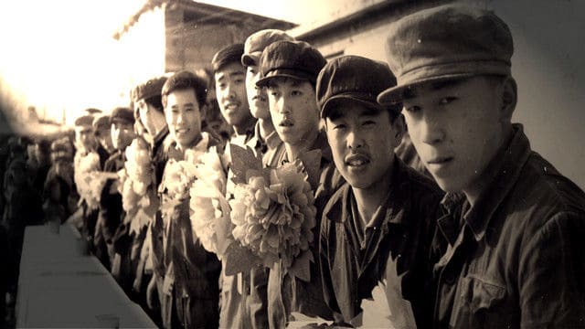 王杨：我们欠《海石湾》的“三线人”一个道歉