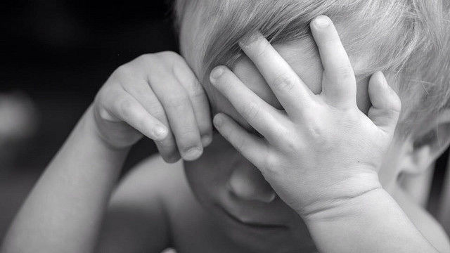 荷兰幼童制止父母争吵：我不要家暴