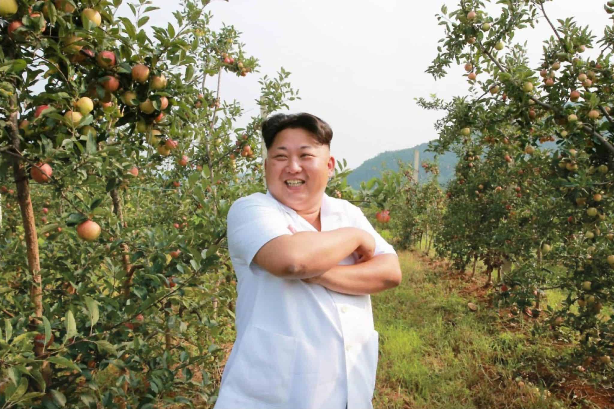 民主体制扩散了，人权状况却倒退了？
