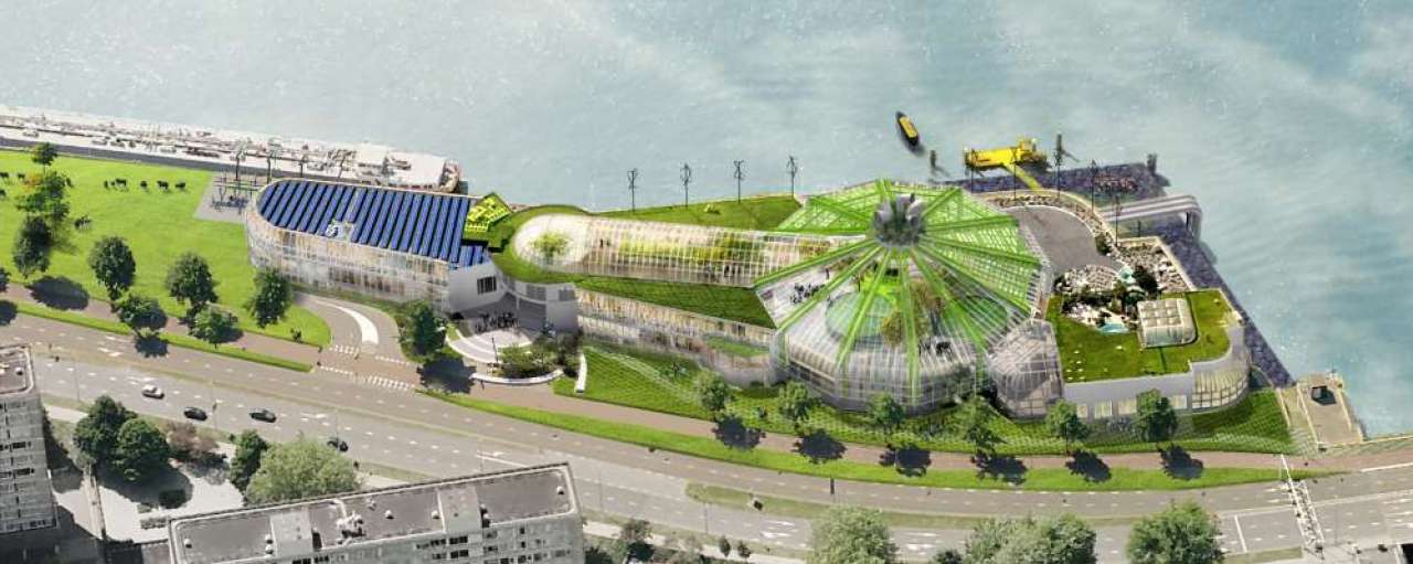 鹿特丹热带游泳馆华丽变身世界最大都市温室