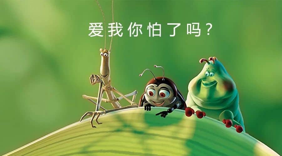 荷兰人巧用昆虫“以毒攻毒”解决虫害问题