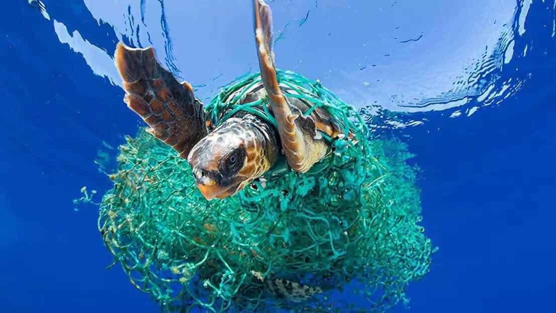 海里的塑料比鱼还多——你想要这样的未来吗？