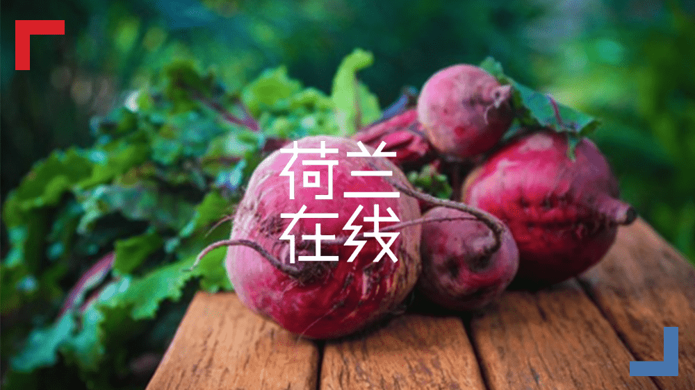 停止土壤污染，荷兰智慧在行动