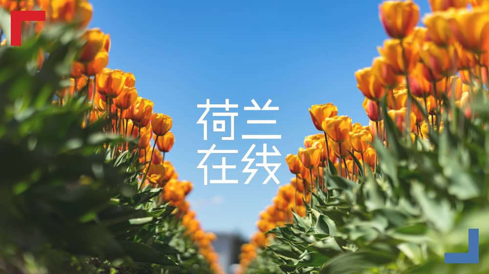 世园会传递荷兰园艺新理念 展现绿色城市魅力