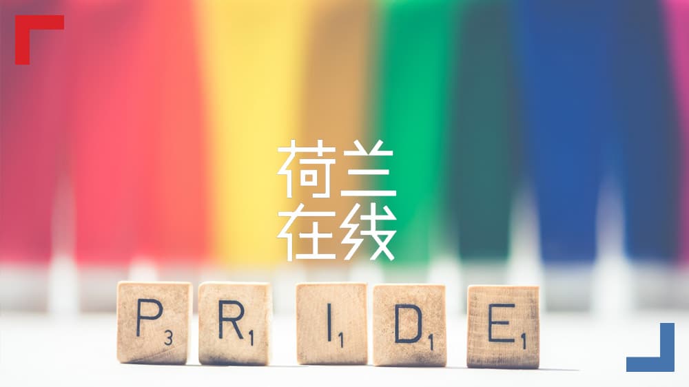 打造可持续、包容的职场？彩虹国家荷兰领跑世界