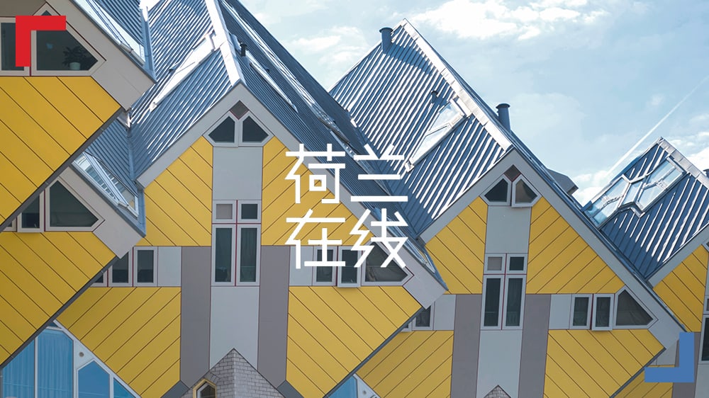 细菌造房、穷富混住：世界建筑节的荷兰巧思