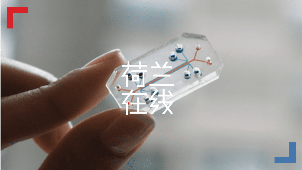 愿世上不再有动物实验，全球的科学家都在努力