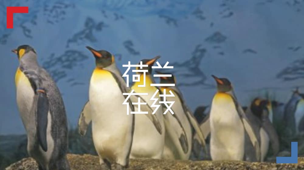 全球物种灭绝速度加快百倍，荷兰出奇招应对！