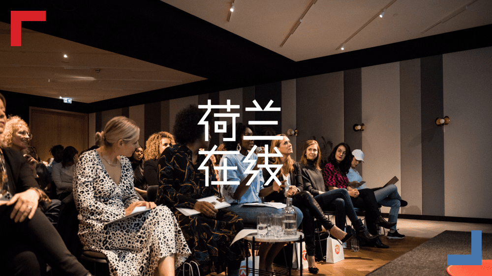 乘风破浪：漫谈30岁+荷兰职场女性