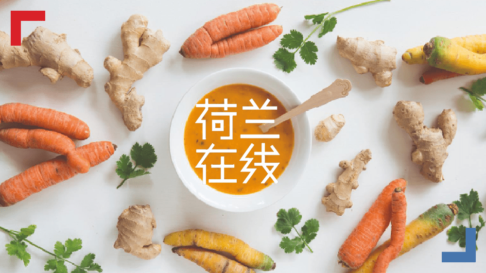 触目惊心的食品浪费真的无解？增收入、促交流的荷兰式妙招了解一下
