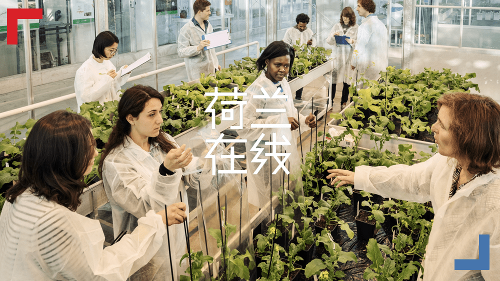 生态友好型标杆，看城市农业究竟有多酷