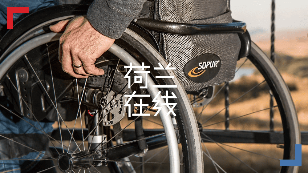 手语在荷兰C位出道，背后的秘密是…