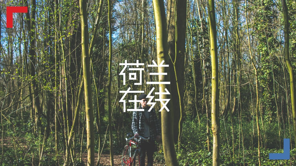 荷兰人如何与森林“交朋友”