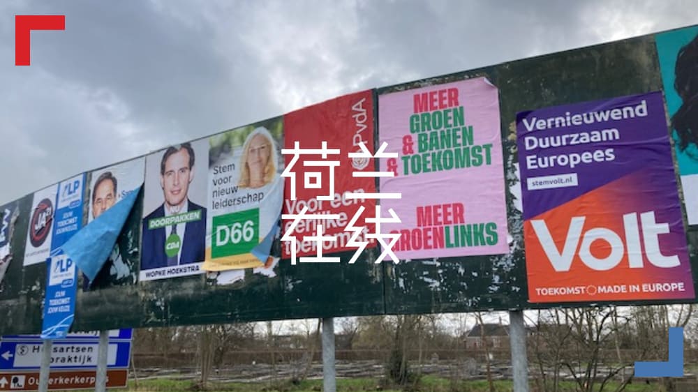 中文问答2021荷兰大选，五大话题是否有你关注的领域？