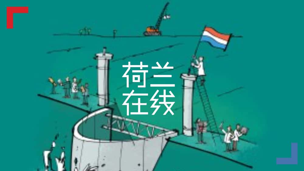 治好“荷兰病”的“圩田模式”究竟是什么？