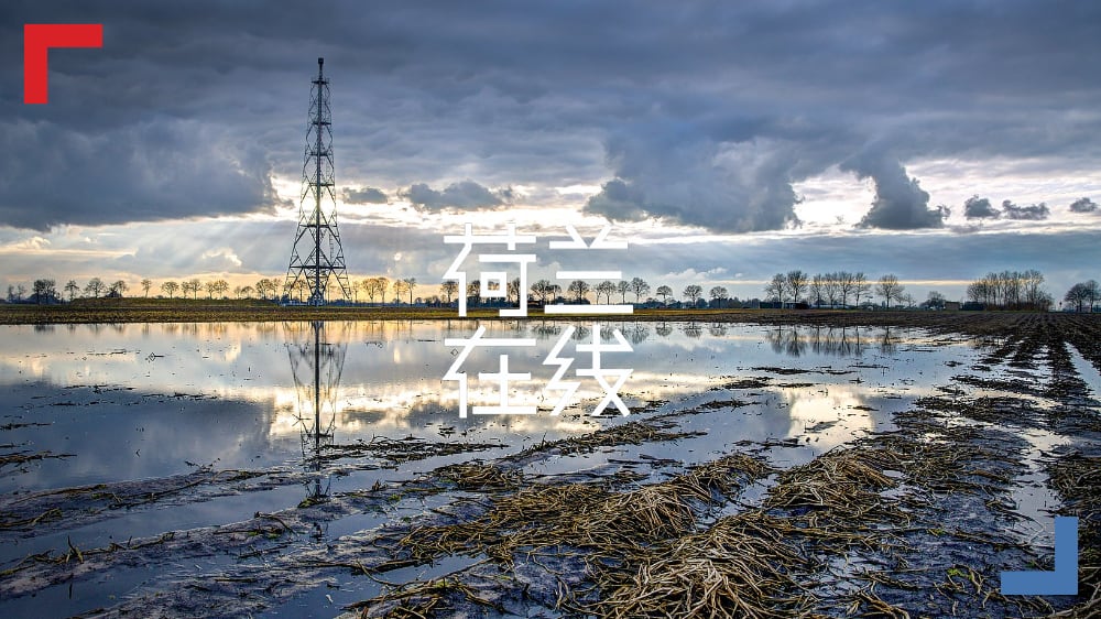 地震余波：“任性”的格罗宁根，不要天然气，也不要核电站