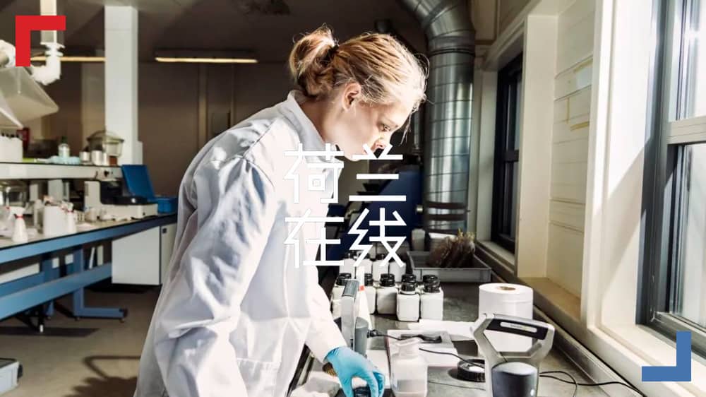 全球115个国家携手“脚踏实地”，承诺恢复约一个中国面积的地球土壤，荷兰率先行动
