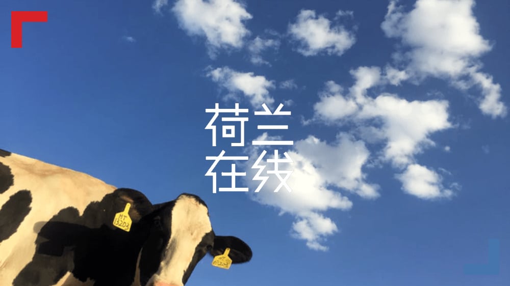 荷兰农村人曾教城里人讲卫生